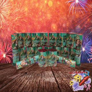 Money Shot fireworks pack – 22-piece assortment of multi-shot cakes and single shots
